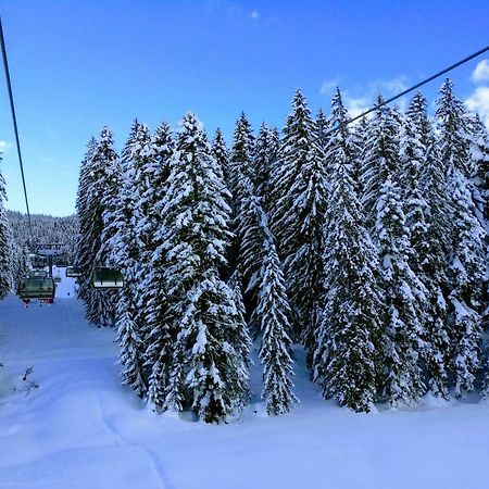 Pension Edelweiss Top 25 ゴーザウ エクステリア 写真