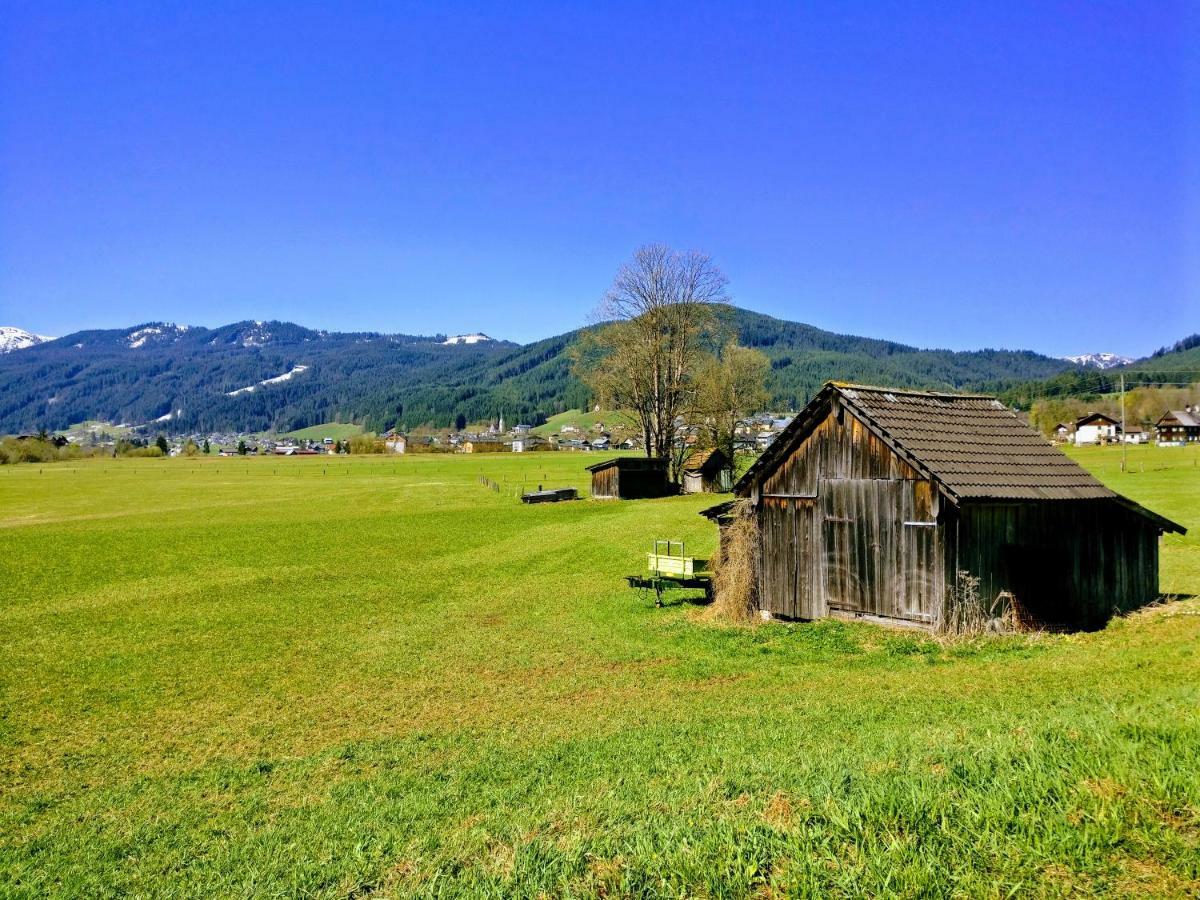 Pension Edelweiss Top 25 ゴーザウ エクステリア 写真
