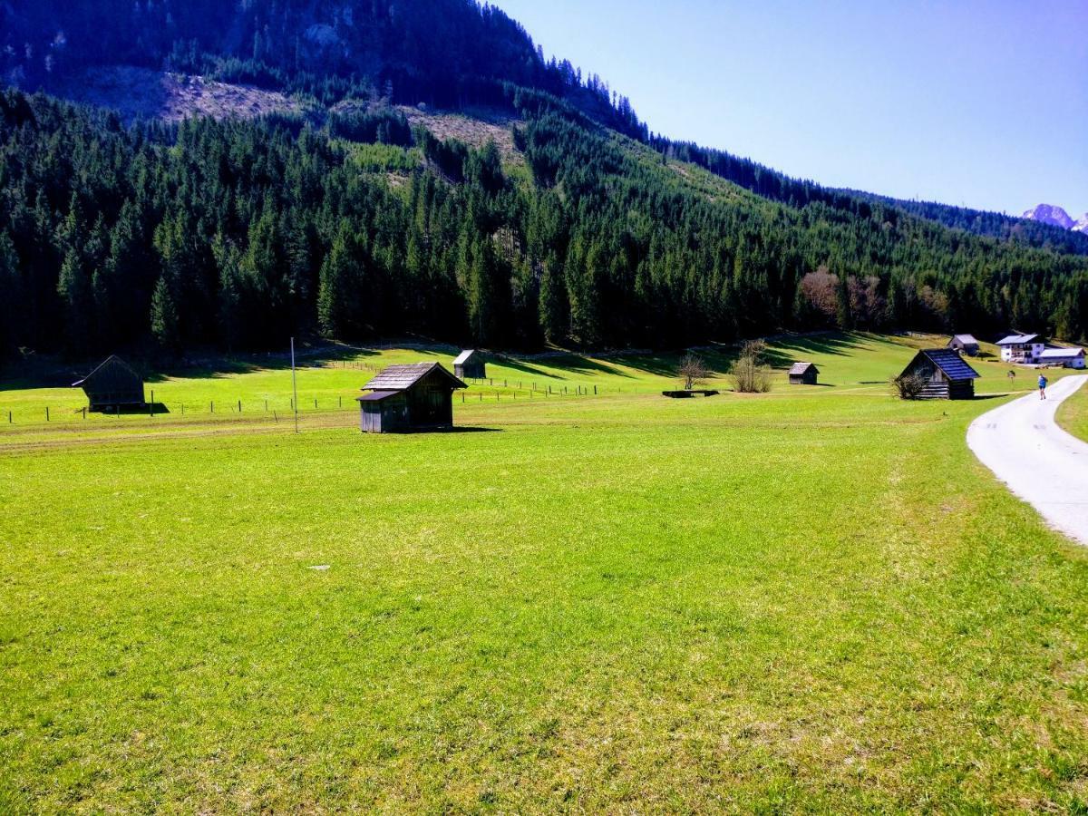 Pension Edelweiss Top 25 ゴーザウ エクステリア 写真