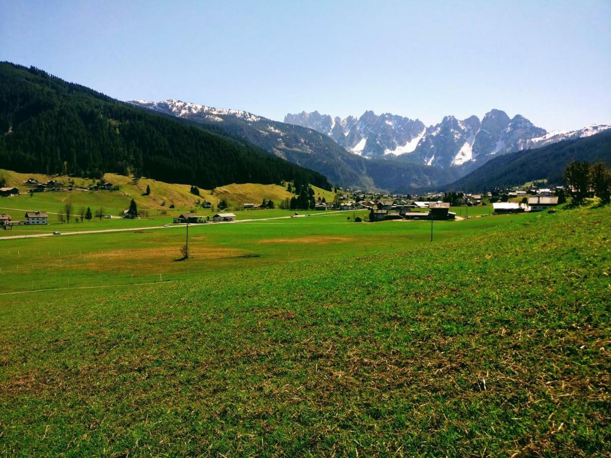 Pension Edelweiss Top 25 ゴーザウ エクステリア 写真