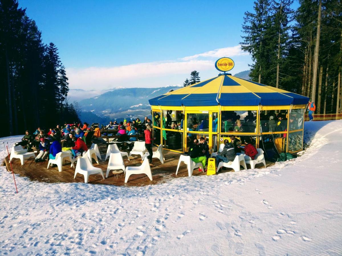 Pension Edelweiss Top 25 ゴーザウ エクステリア 写真