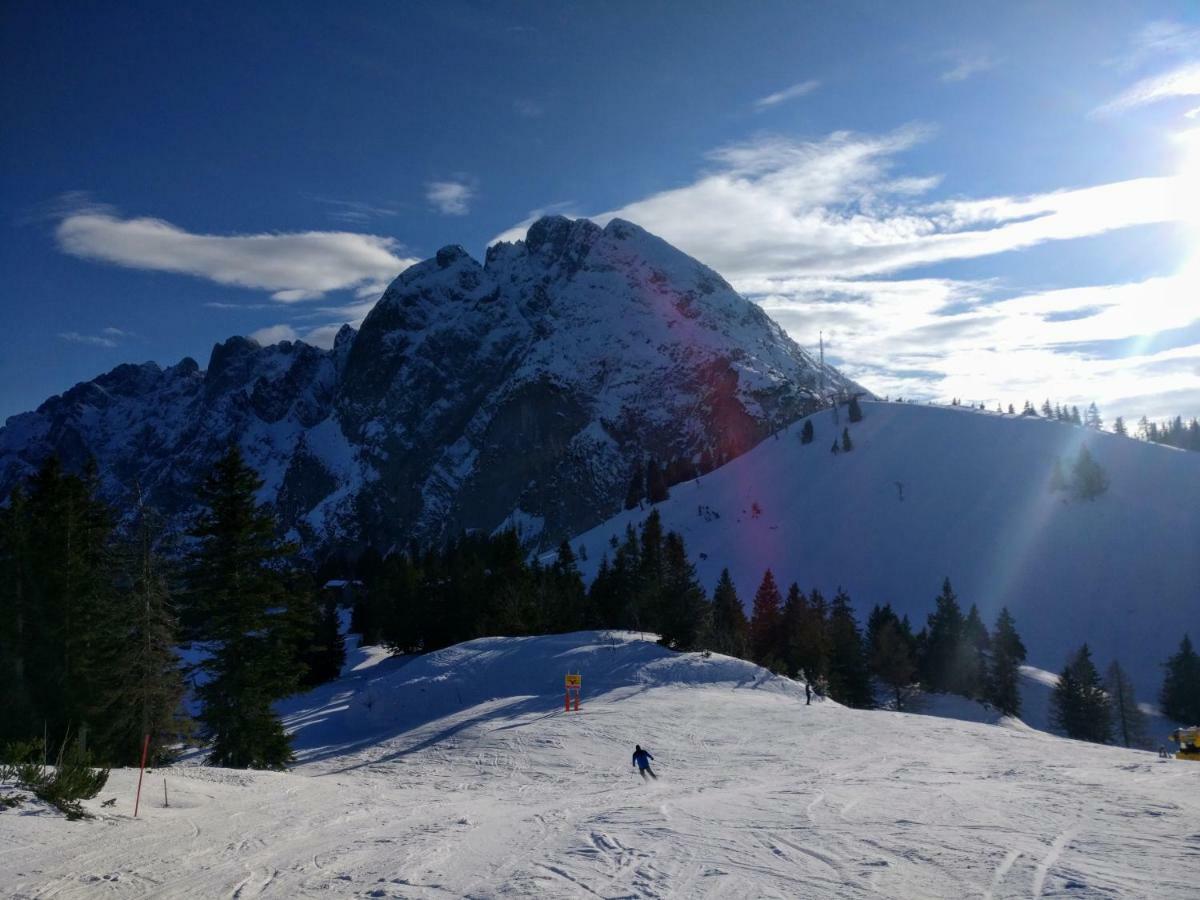Pension Edelweiss Top 25 ゴーザウ エクステリア 写真