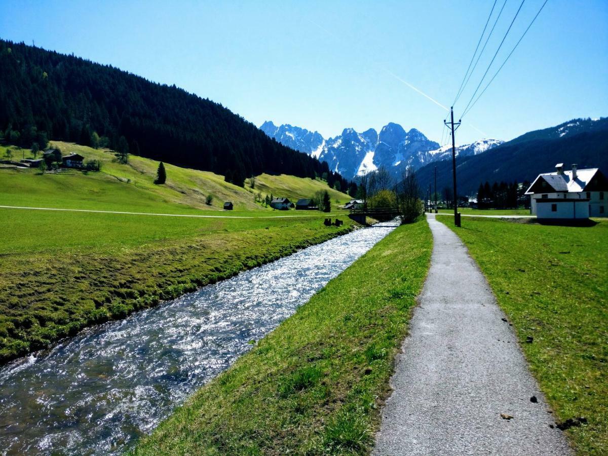 Pension Edelweiss Top 25 ゴーザウ エクステリア 写真