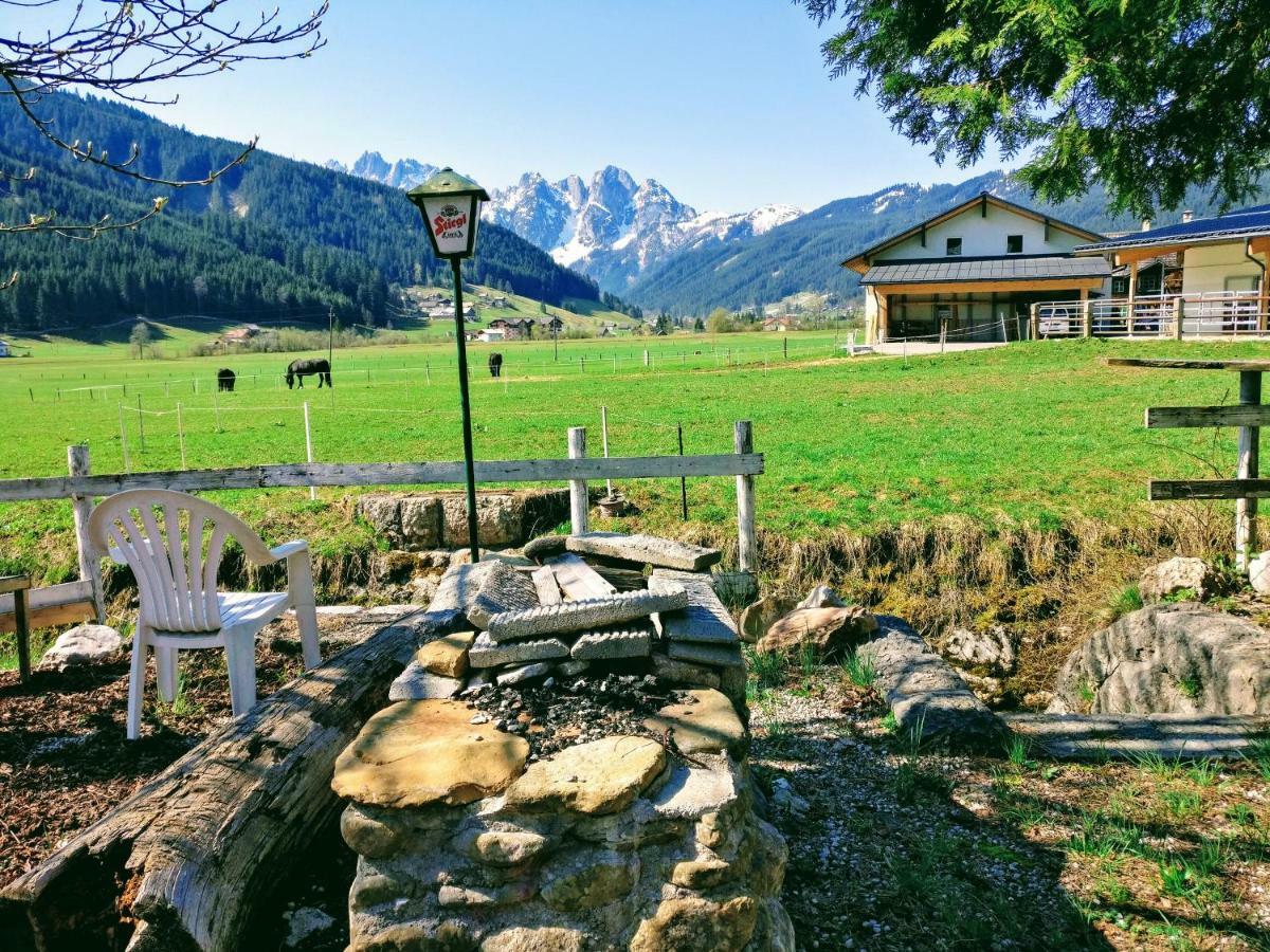 Pension Edelweiss Top 25 ゴーザウ エクステリア 写真