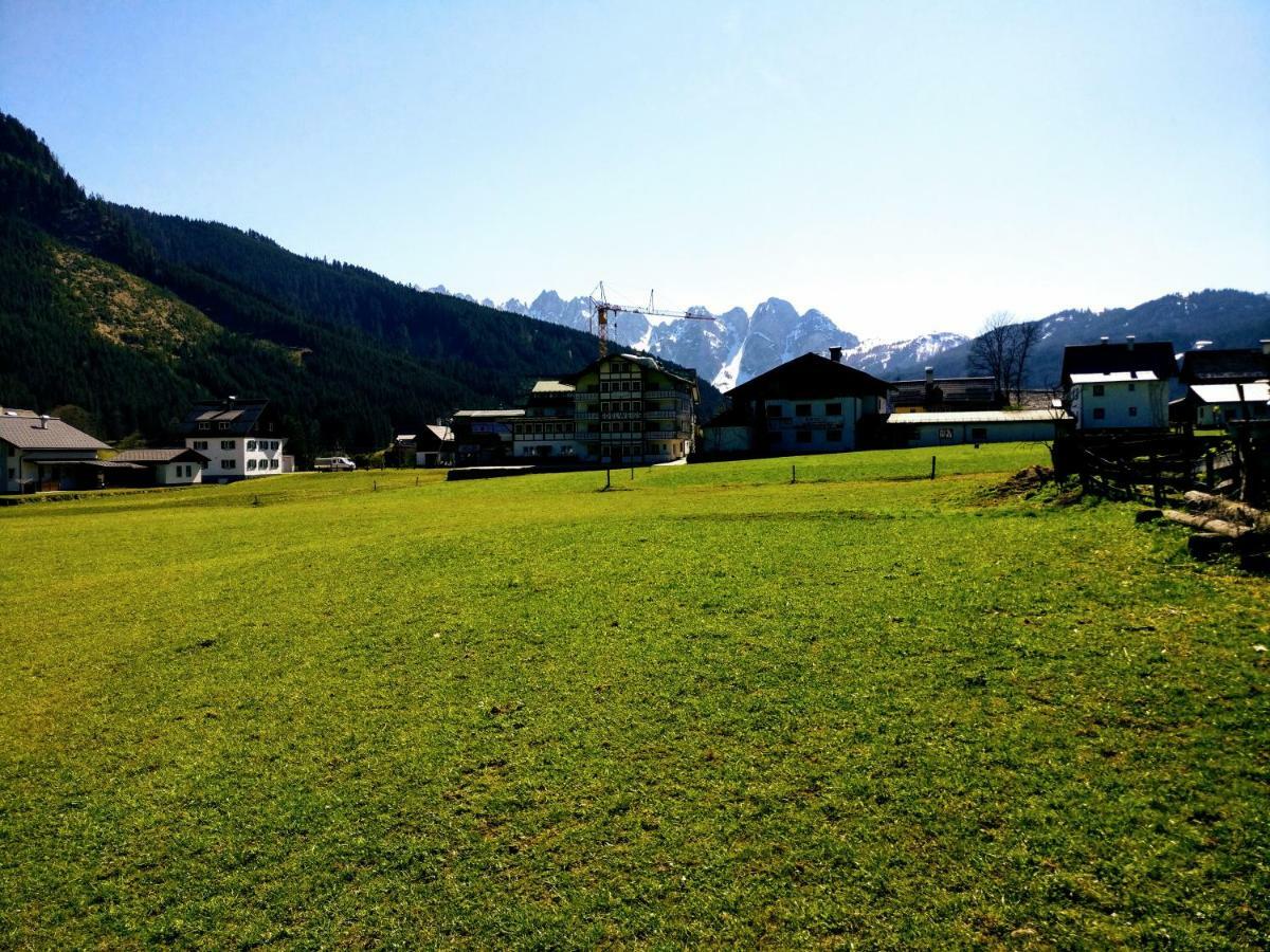 Pension Edelweiss Top 25 ゴーザウ エクステリア 写真