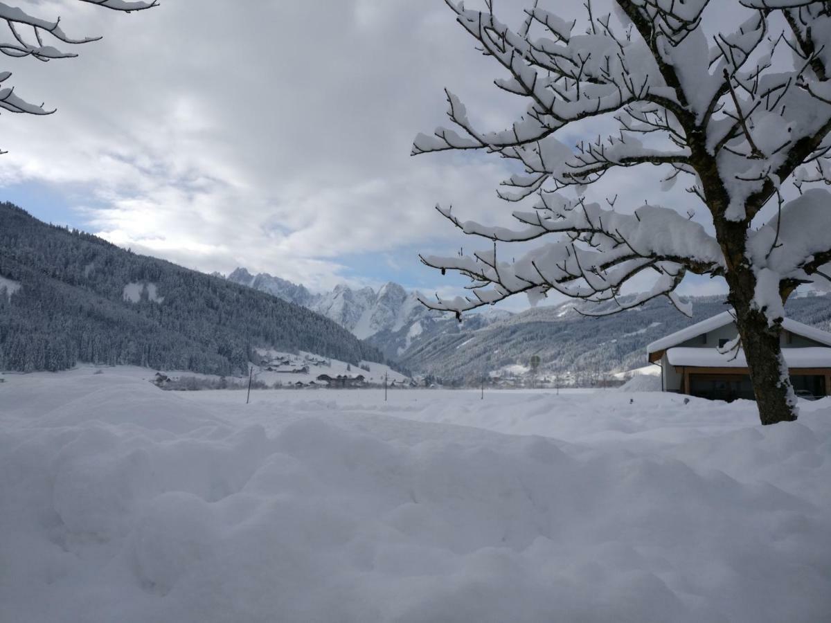 Pension Edelweiss Top 25 ゴーザウ エクステリア 写真