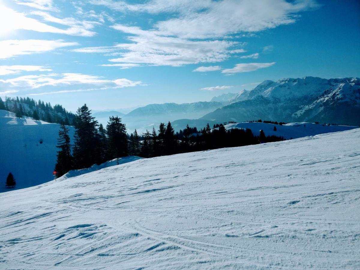 Pension Edelweiss Top 25 ゴーザウ エクステリア 写真
