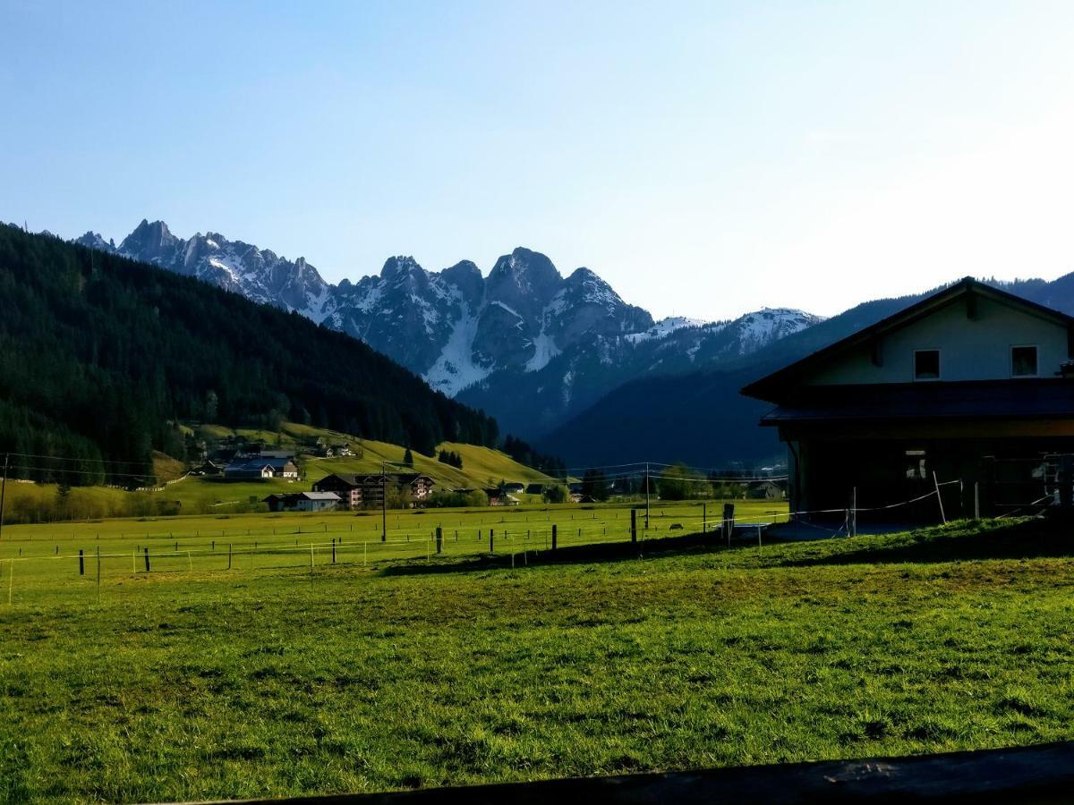 Pension Edelweiss Top 25 ゴーザウ エクステリア 写真