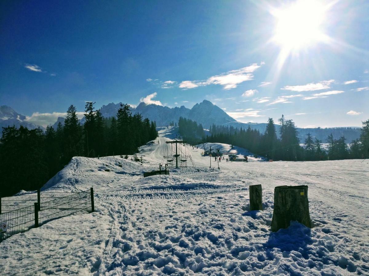 Pension Edelweiss Top 25 ゴーザウ エクステリア 写真