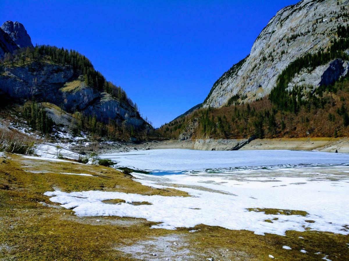 Pension Edelweiss Top 25 ゴーザウ エクステリア 写真