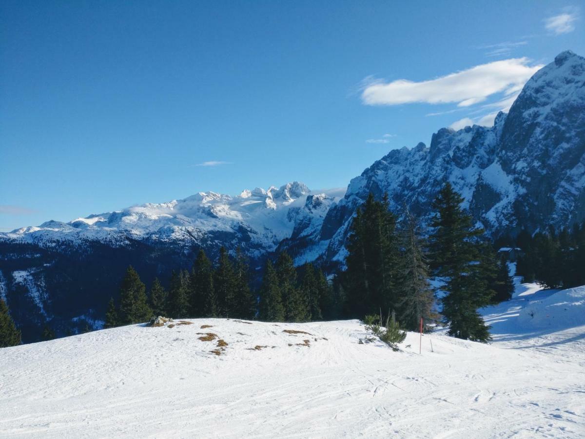 Pension Edelweiss Top 25 ゴーザウ エクステリア 写真