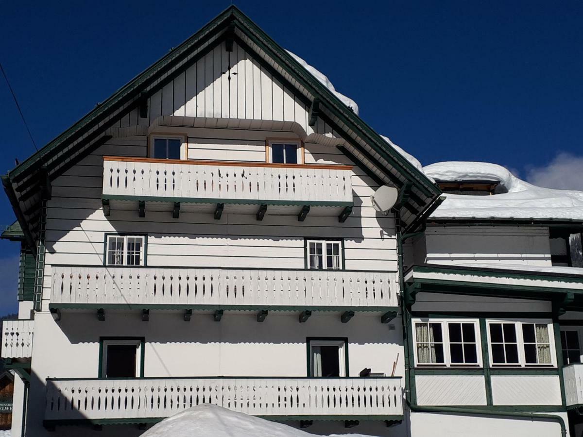 Pension Edelweiss Top 25 ゴーザウ エクステリア 写真