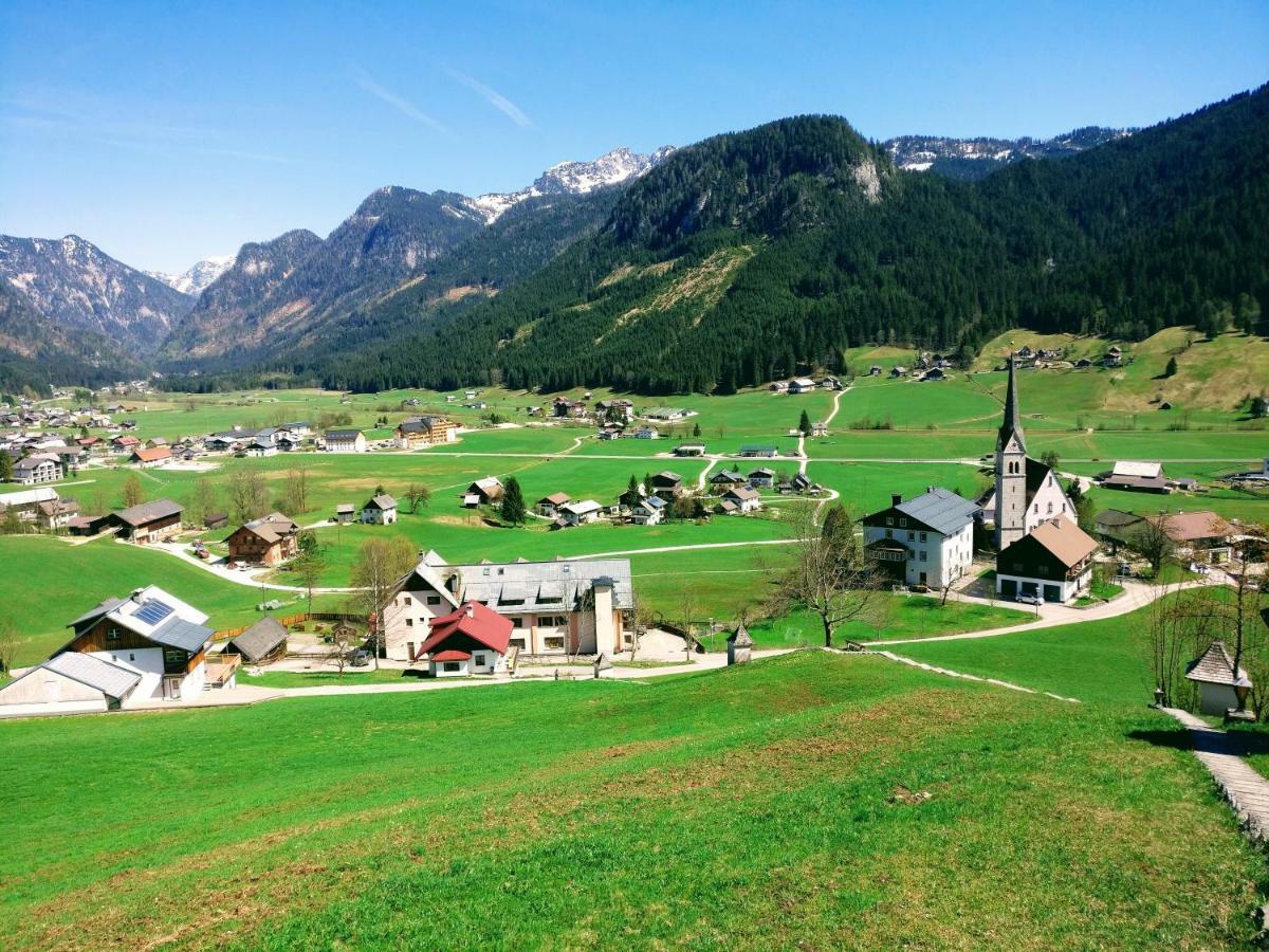 Pension Edelweiss Top 25 ゴーザウ エクステリア 写真