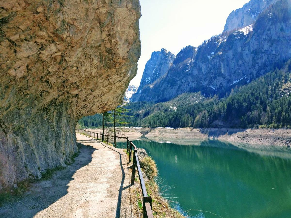 Pension Edelweiss Top 25 ゴーザウ エクステリア 写真