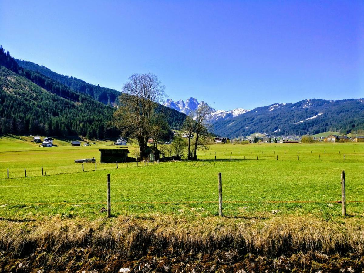 Pension Edelweiss Top 25 ゴーザウ エクステリア 写真