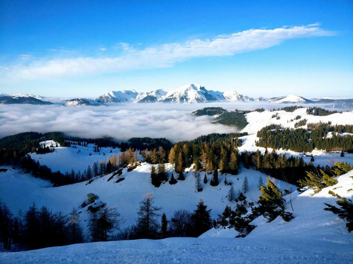 Pension Edelweiss Top 25 ゴーザウ エクステリア 写真