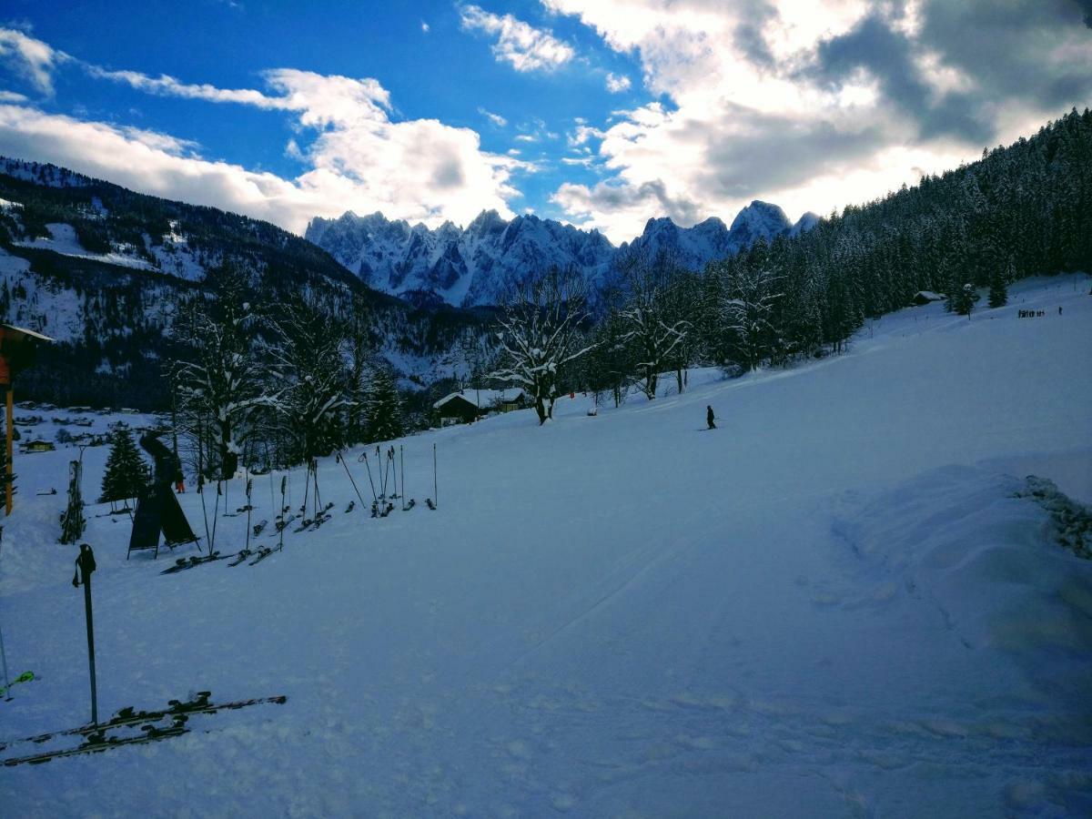 Pension Edelweiss Top 25 ゴーザウ エクステリア 写真