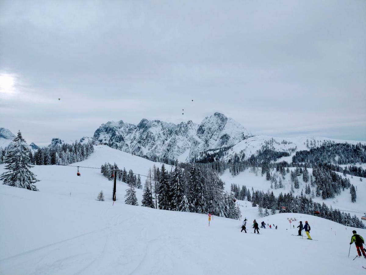 Pension Edelweiss Top 25 ゴーザウ エクステリア 写真