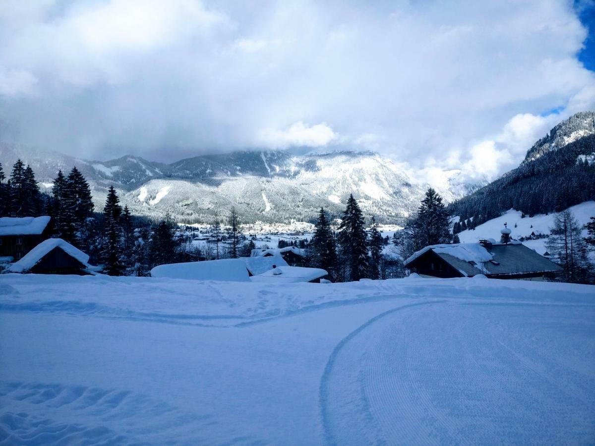 Pension Edelweiss Top 25 ゴーザウ エクステリア 写真