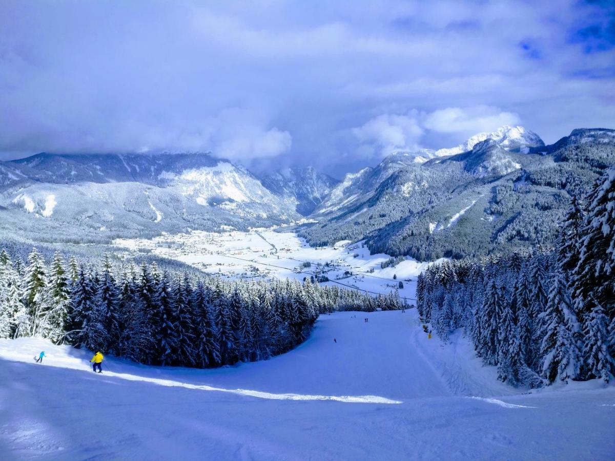 Pension Edelweiss Top 25 ゴーザウ エクステリア 写真