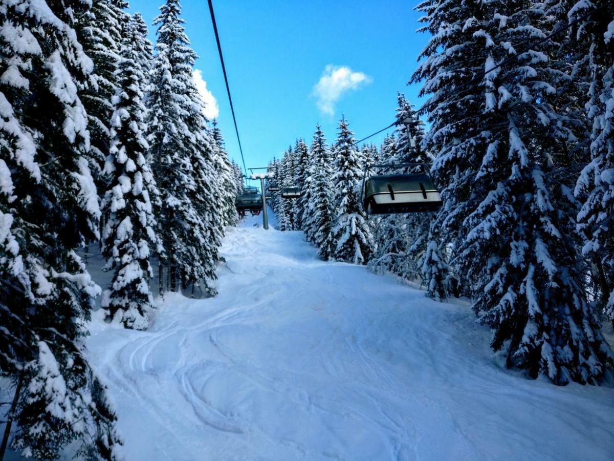 Pension Edelweiss Top 25 ゴーザウ エクステリア 写真
