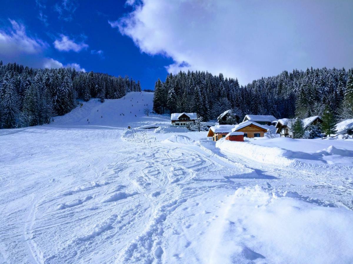 Pension Edelweiss Top 25 ゴーザウ エクステリア 写真