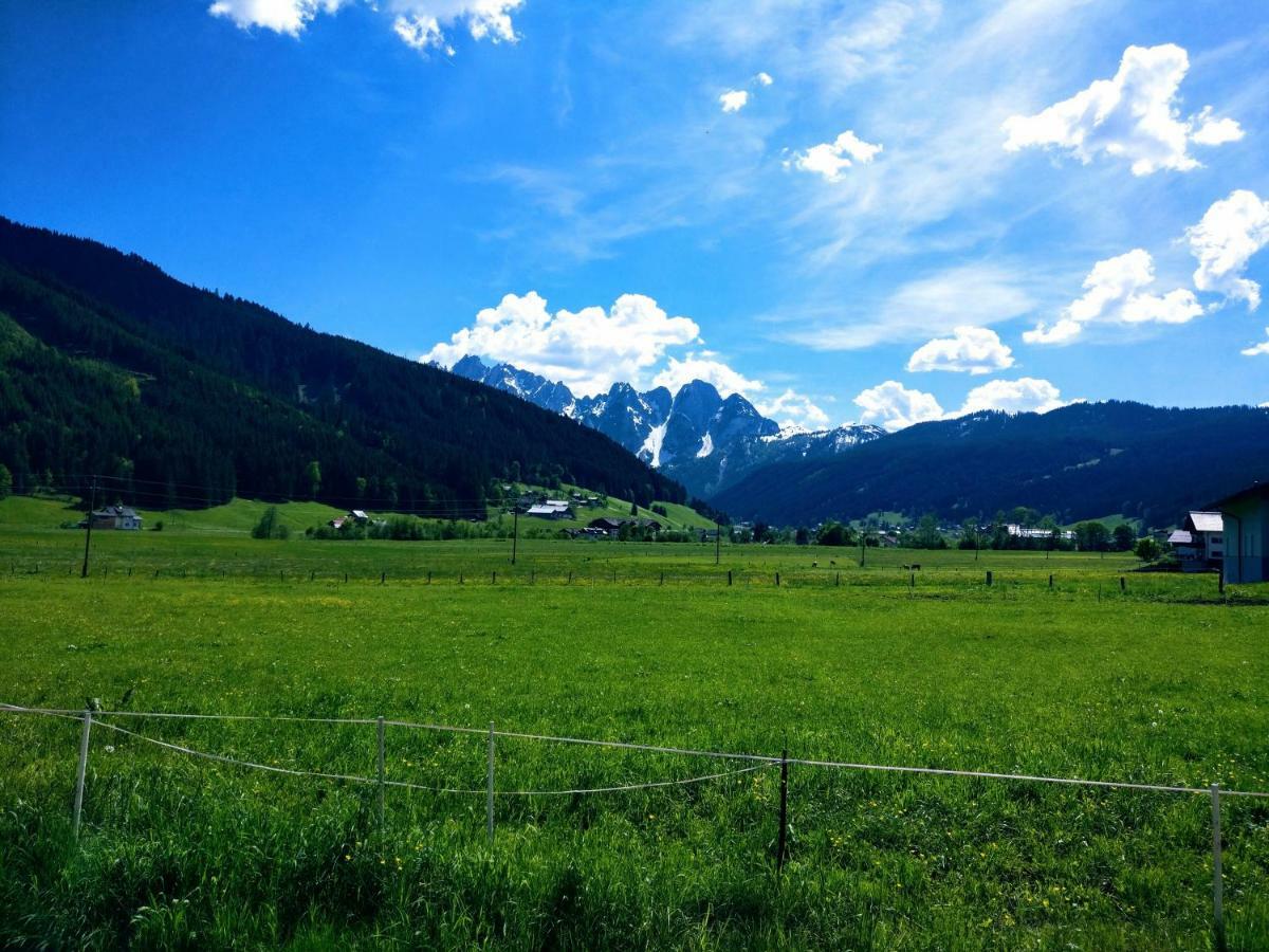 Pension Edelweiss Top 25 ゴーザウ エクステリア 写真