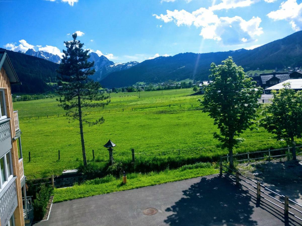 Pension Edelweiss Top 25 ゴーザウ エクステリア 写真