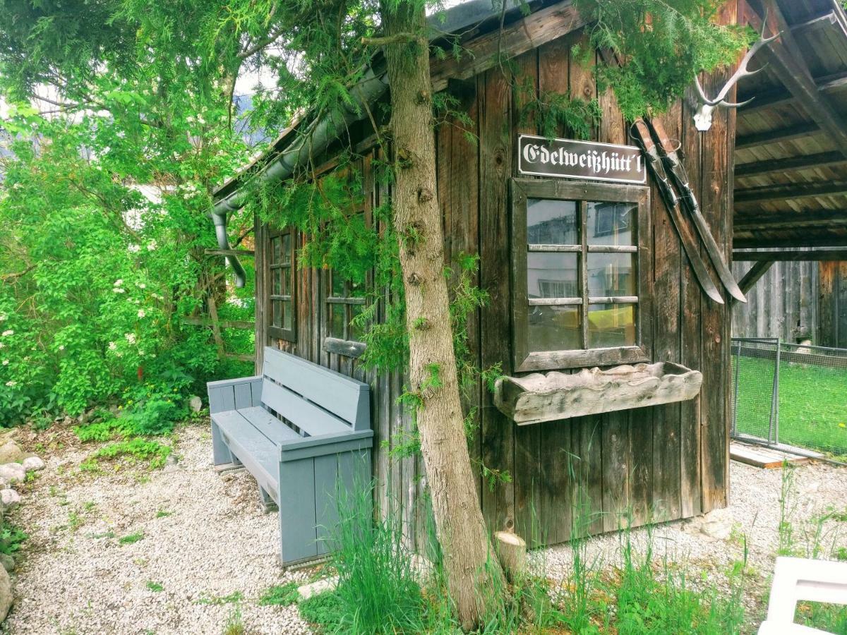 Pension Edelweiss Top 25 ゴーザウ エクステリア 写真