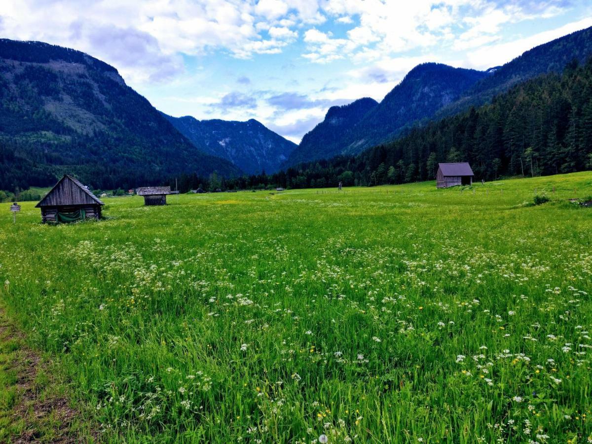 Pension Edelweiss Top 25 ゴーザウ エクステリア 写真